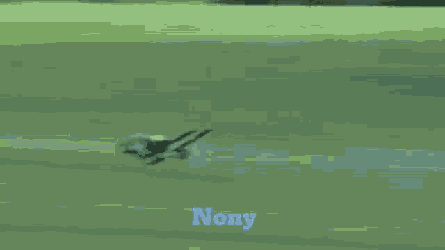 Nonyzim Nony GIF - Nonyzim Nony Cortador De Grama GIFs