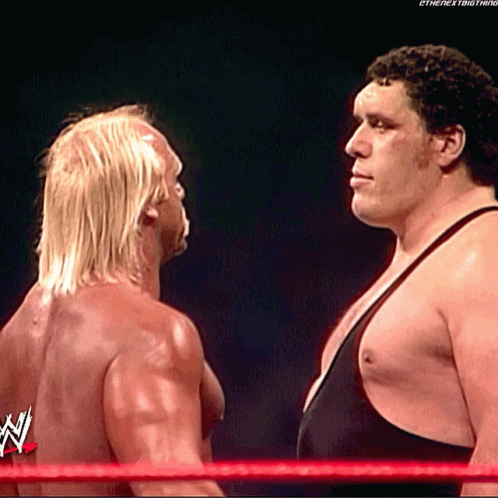 Andre The Giant Hulk Hogan GIF - Andre The Giant Hulk Hogan Wrestle Mania3 GIFs