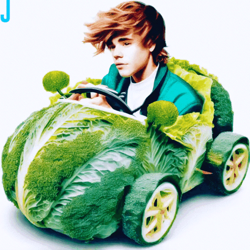 Justin Bieber Cabbage GIF - Justin Bieber Cabbage Car GIFs