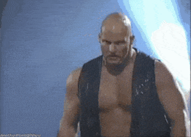 a bald man in a black vest is standing in front of a blue background with the words another point of view on the bottom