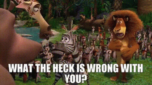 Madagascar Marty GIF - Madagascar Marty What The Heck Is Wrong With You GIFs