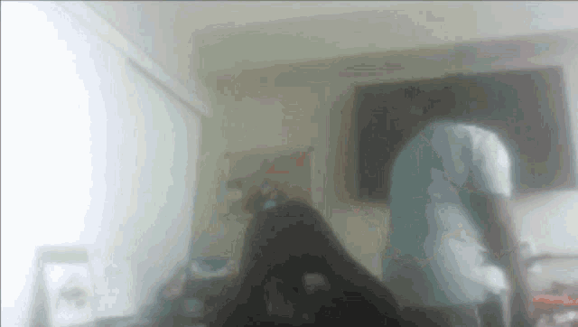 a blurry photo of a person standing in a room