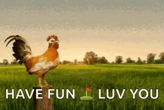 a rooster is standing on a tree stump in a grassy field with the words have fun luv you below it