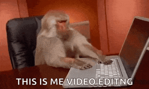 a monkey is sitting at a desk typing on a laptop .