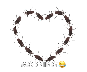 Hearts Formation Cockroach GIF - Hearts Formation Cockroach GIFs