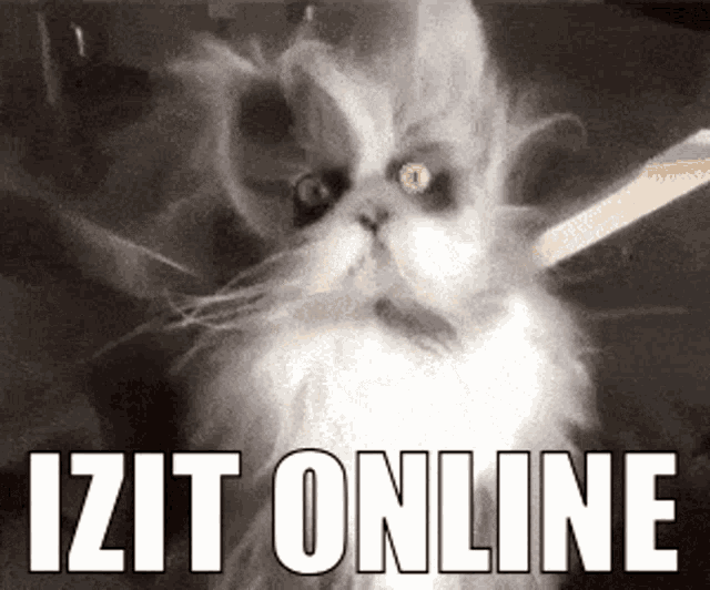 a cat with the words izit online written above it