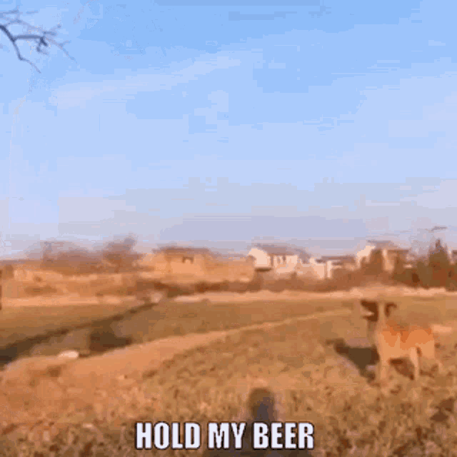 Hold My Beer Watch This GIF
