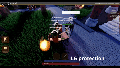 a screen shot of a video game with the words lg protection on the bottom