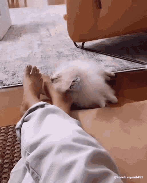 a person is laying on a couch with their feet up and a small white dog laying on their lap .