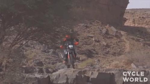Stunt Pro Rider GIF - Stunt Pro Rider Riding GIFs