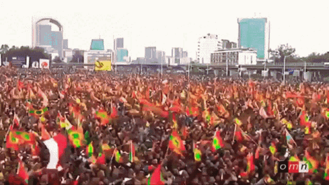 Oromo Oromo Love GIF - Oromo Oromo Love Flags GIFs