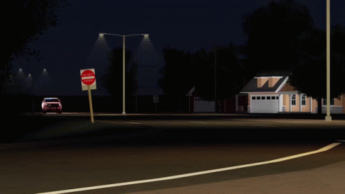 Wsp Police GIF