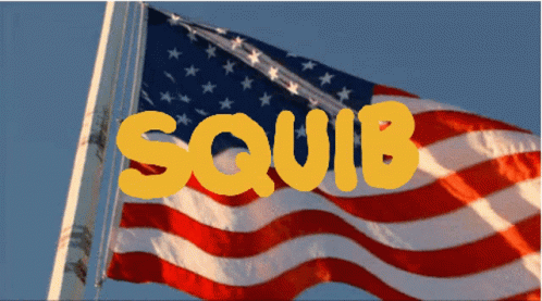 Squib America GIF - Squib America Flag GIFs
