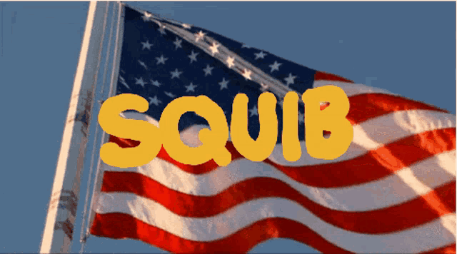 an american flag with the word squid in yellow