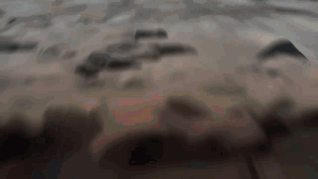a close up of a person 's feet walking on a road