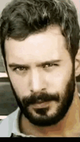 a man with a beard and mustache is looking at the camera