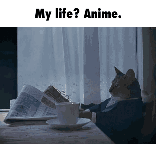 a cat is sitting at a table reading a newspaper and drinking a cup of coffee with the caption my life anime