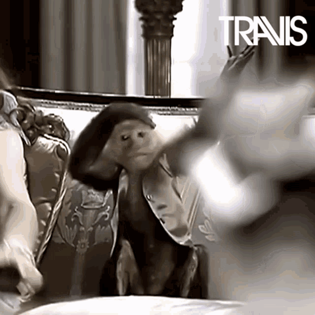 Travis Monkey GIF - Travis Monkey Sing GIFs