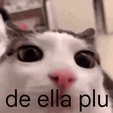a close up of a cat with the words de ella plu on the bottom
