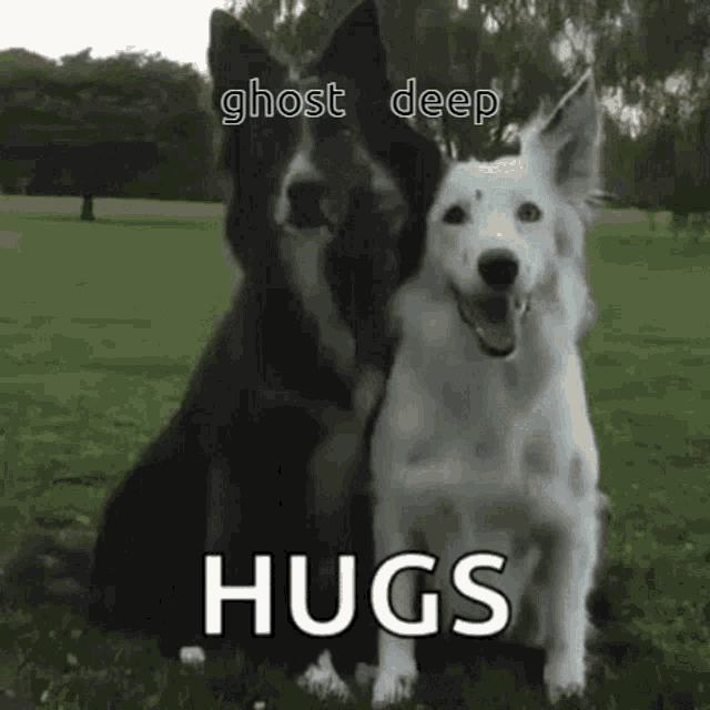 Love Dog Huge Dog GIF - Love Dog Huge Dog Ghost GIFs