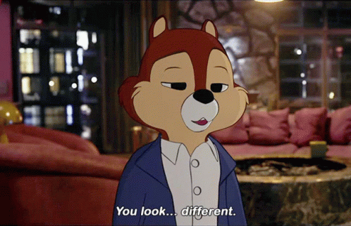 Chip And Dale Rescue Rangers You Look Different GIF - Chip And Dale Rescue Rangers You Look Different Different GIFs