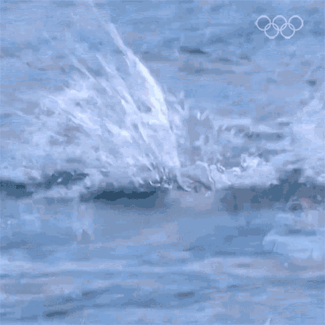 Swimming Olympics GIF - Swimming Olympics Open Water Swim GIFs