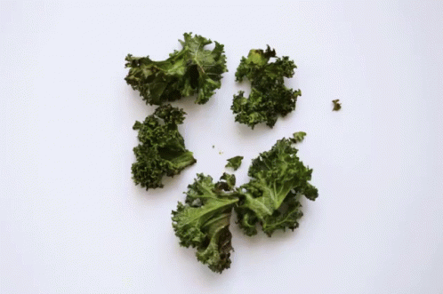 Yum Yum Yum All The Kale Is Gone GIF - Kale Vegetable GIFs
