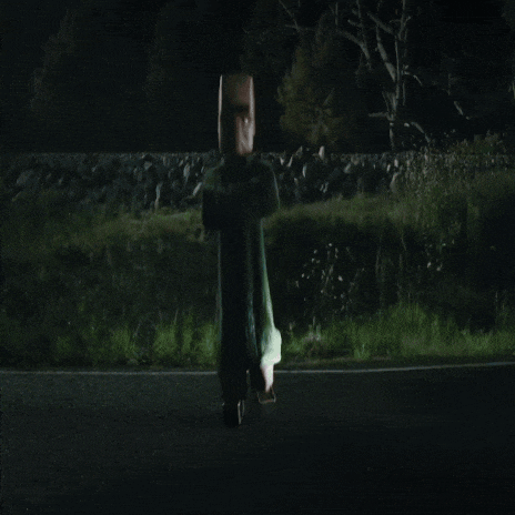 a car is driving down a road at night with a bird flying in the air