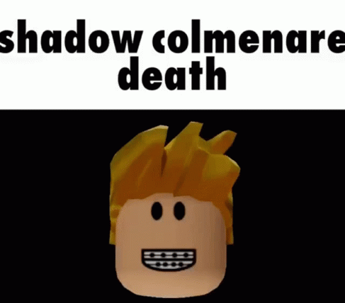 Shadow Colmenare GIF - Shadow Colmenare Roblox GIFs