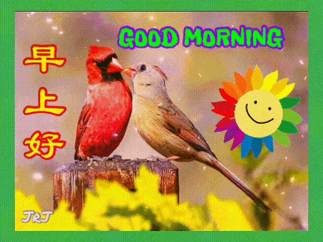 早安 早上好 GIF