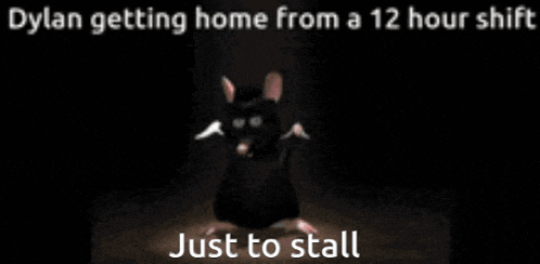 a picture of a cartoon mouse with the words dylan getting home from a 12 hour shift just to stall
