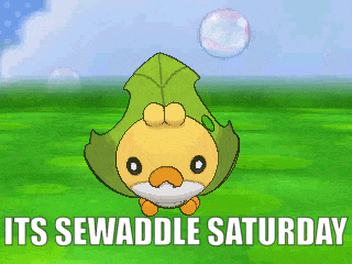 a cartoon of a bird with a green leaf on its head and the words " its sewaddle saturday " below it