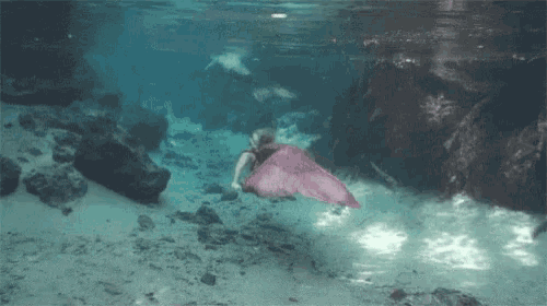 a woman in a pink mermaid tail is swimming underwater