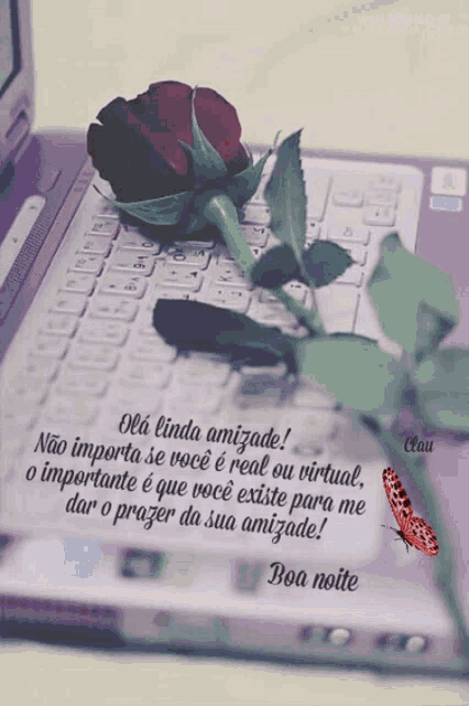 a rose sits on top of a laptop keyboard with a message in another language