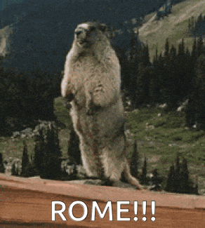 a ground squirrel standing on its hind legs with the words rome written on the bottom