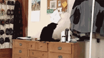 a black cat is sitting on a wooden dresser in a bedroom