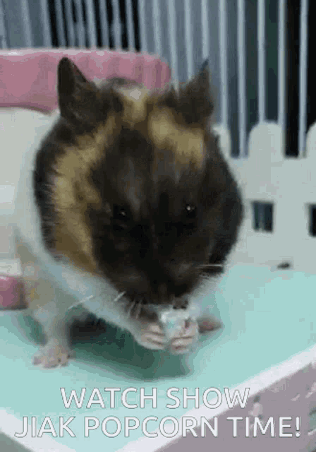 a hamster is eating popcorn with the words watch show jiak popcorn time below it .