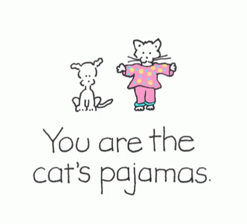 Cats Pajamas GIF - Cats Pajamas GIFs