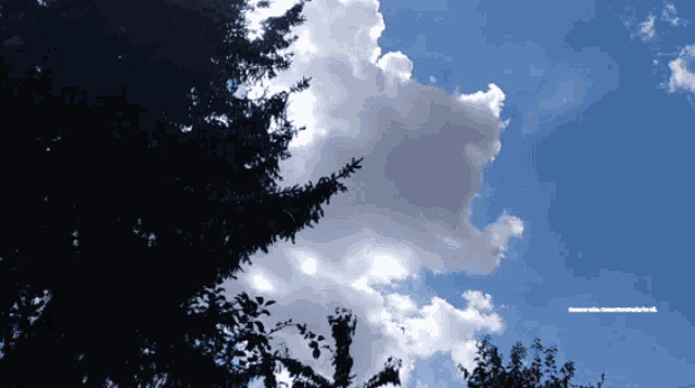 a tree silhouetted against a cloudy blue sky