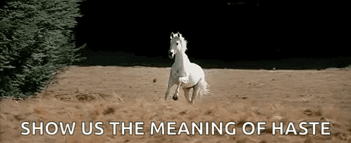 a white horse is running in a field with the words show us the meaning of haste .