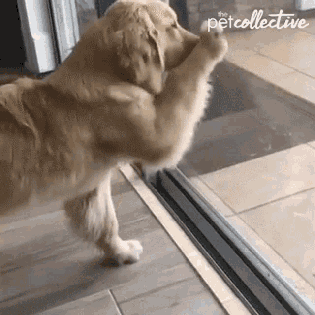 Get Me Outta Here Glass GIF - Get Me Outta Here Glass Let Me Go GIFs