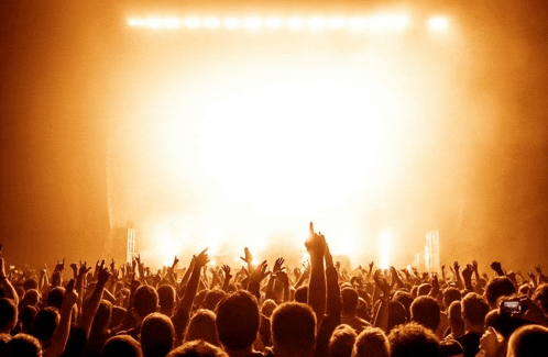 a crowd of people at a concert with their arms up in the air