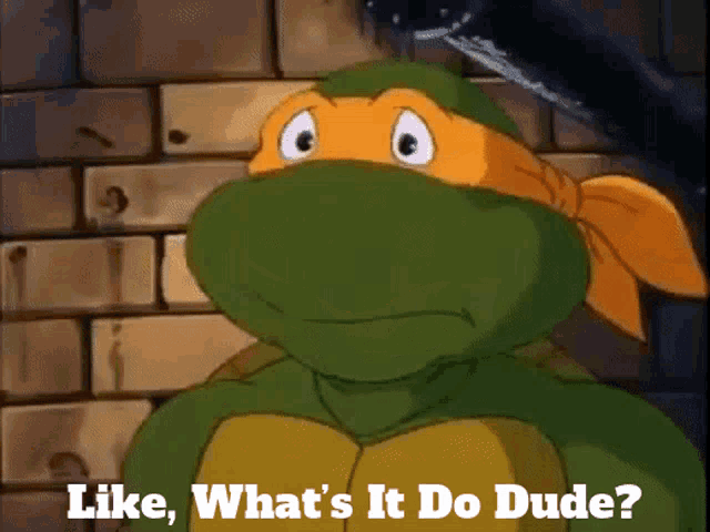 a teenage mutant ninja turtle is asking " like what 's it do dude "