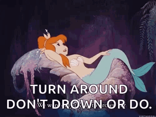 a mermaid is laying on a rock with the words turn around don 't drown or do