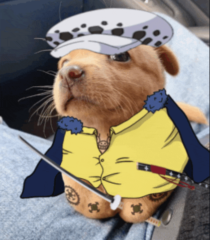 a dog wearing a yellow shirt and a hat with a sword
