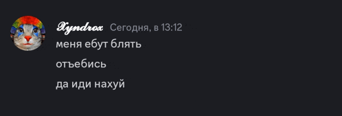 a screenshot of a chat with a cat and the name syndrox on it