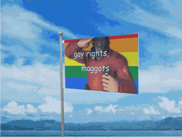 a flag that says gay rights maggots with a picture of a man saluting