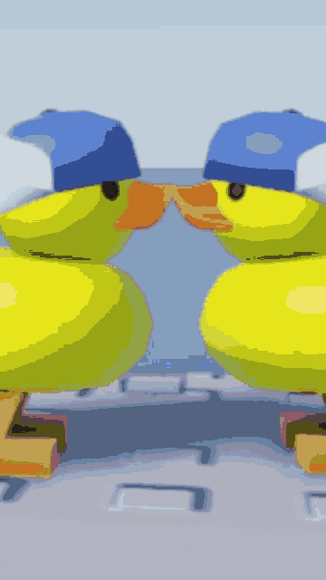 two yellow ducks wearing blue hats are kissing each other