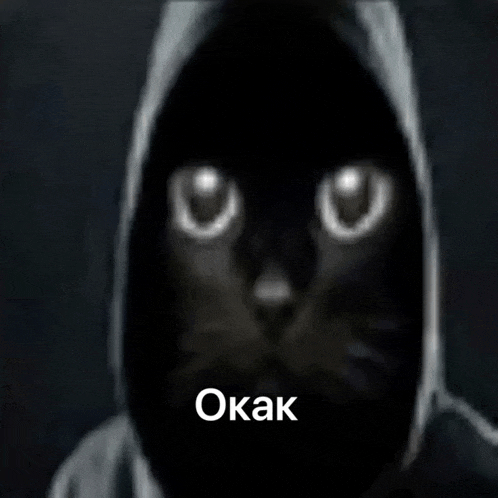 a black cat wearing a hooded jacket with the word okak on the bottom