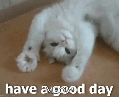 Have A Good Day Cat GIF - Have A Good Day Cat Good Day GIFs